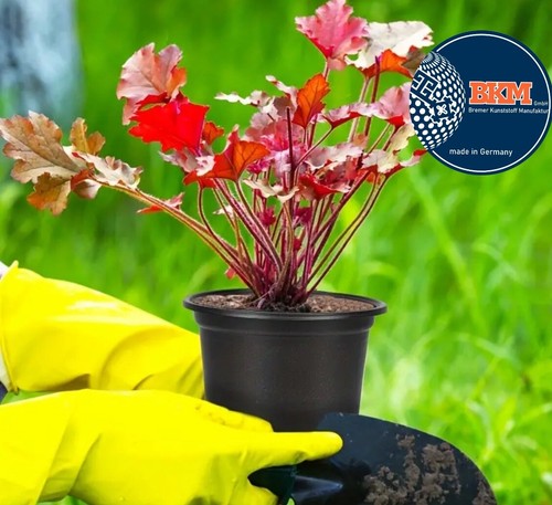 10XEinfache Einweg-Blumentöpfe aus Kunststoff für Gemüsesetzlinge oder Pflanzen.